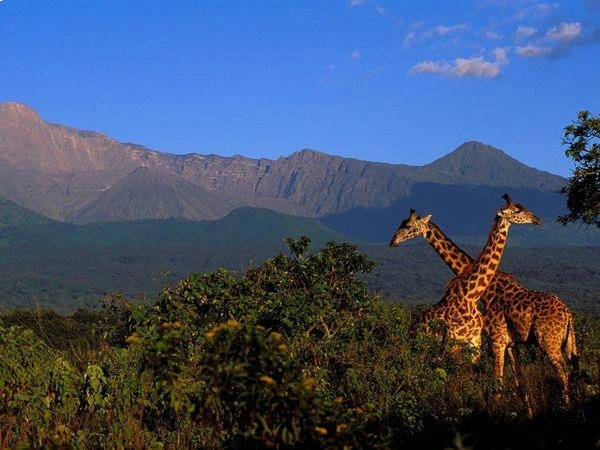 Arusha National Park
