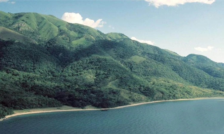 Gombe Stream National Park