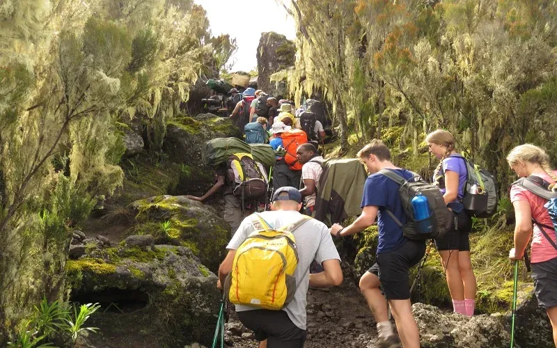 Mount Kilimanjaro Climbing Mount Kilimanjaro Climbing