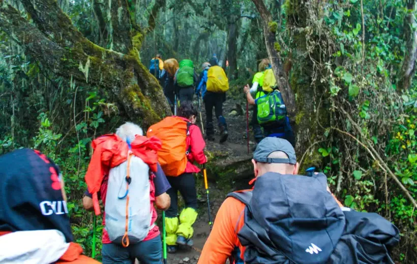 Kilimanjaro Marangu Route