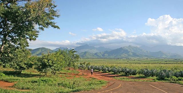 Uluguru Mountains Trek
