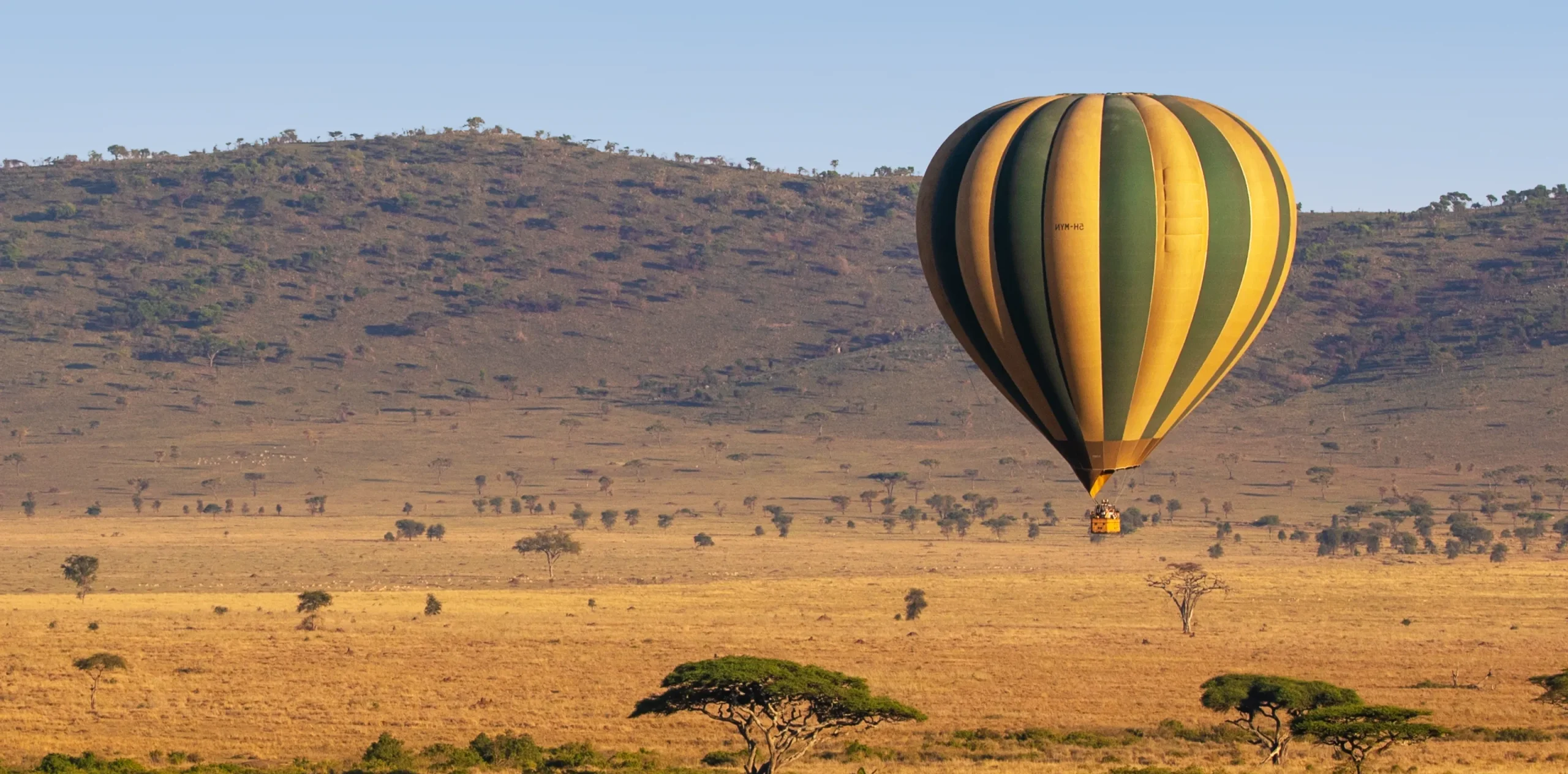Balloon Safari Experience