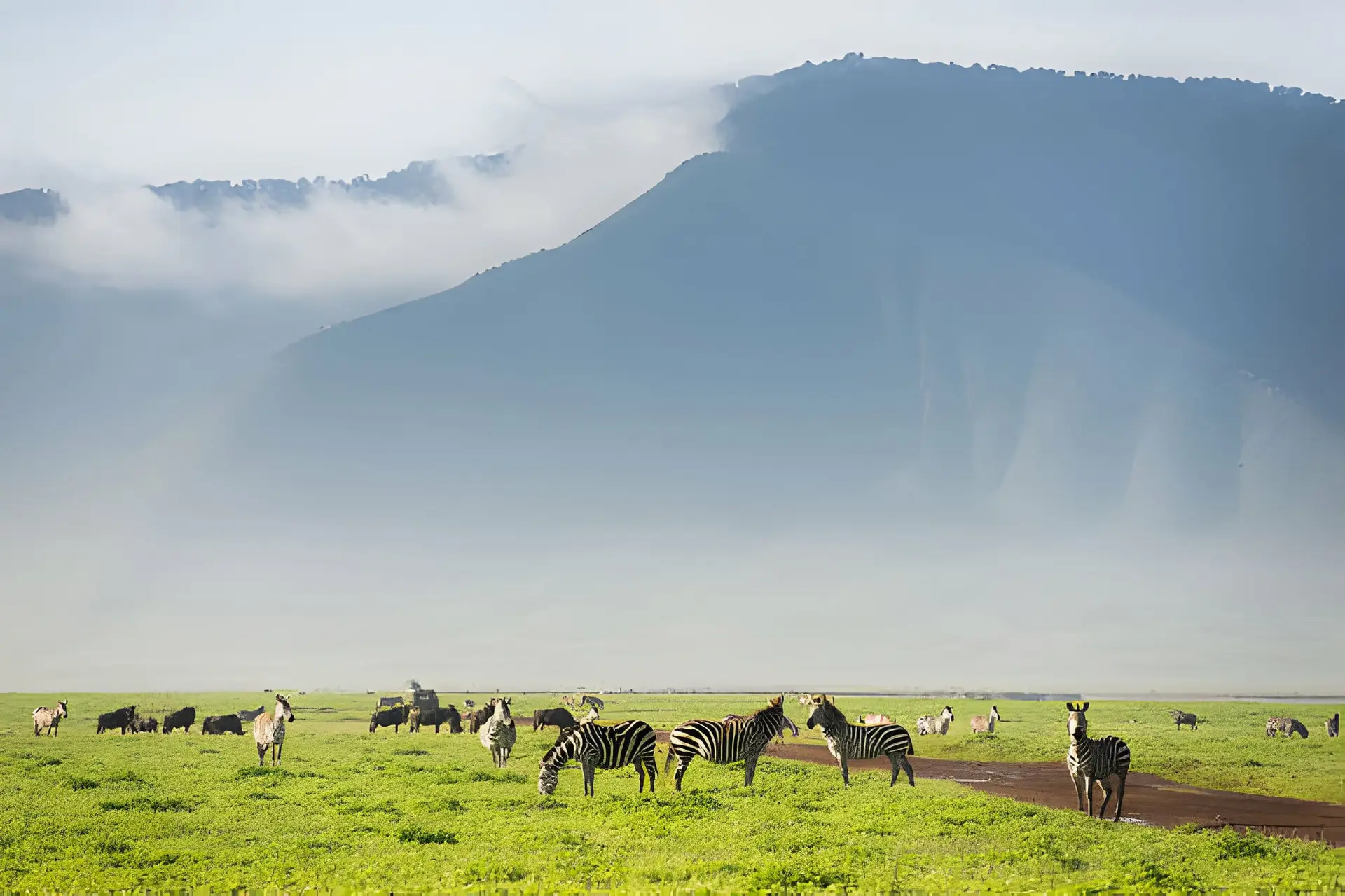 Serengeti & Ngorongoro Wild Escape