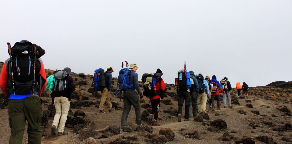 Kilimanjaro-Marangu- route