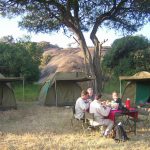 Tanzania-Budget-Camping-Serengeti wonders