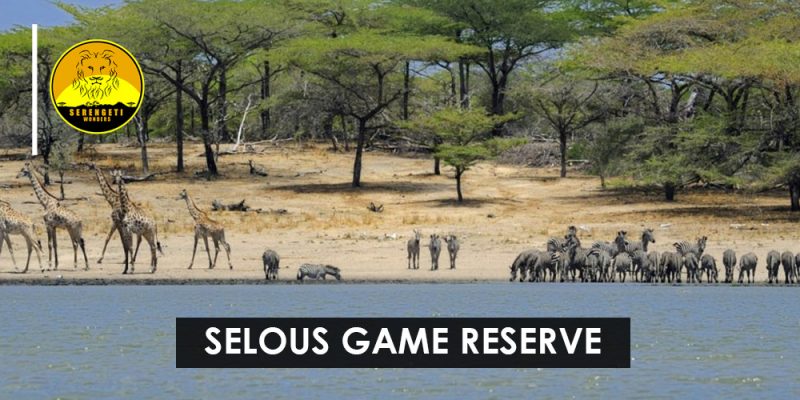 selous-game-reserve